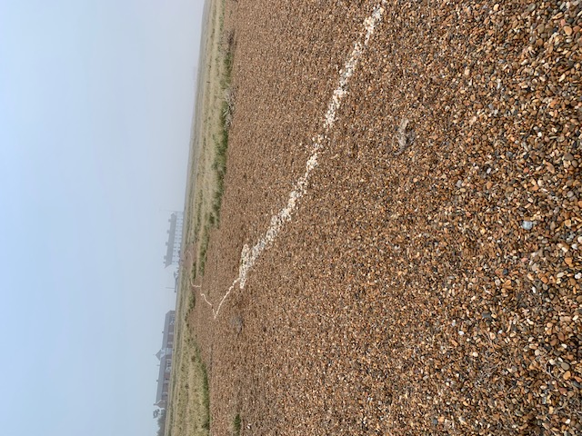 The white line of shells winding across Shingle Street beach